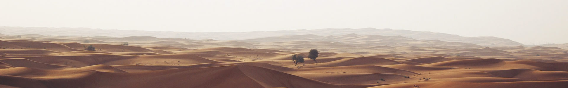 ɽŷտƼ޹˾
